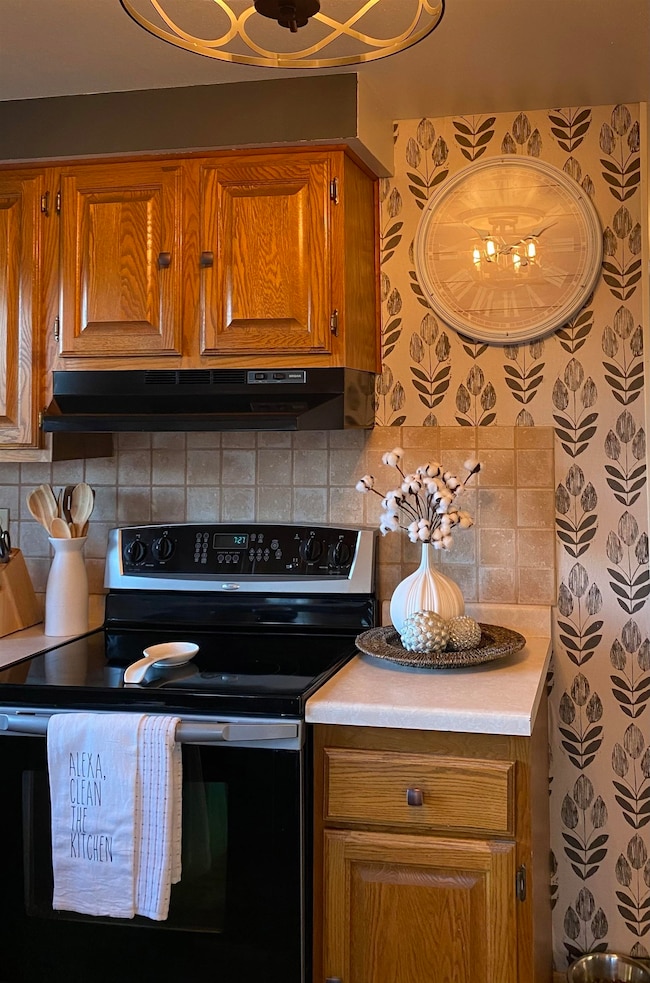 210 View St, Tomah, WI 54660 - photo 5