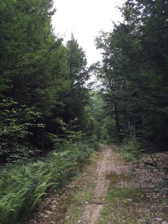 7 Amber Ln, Hubbardston, MA 01452 - photo 7