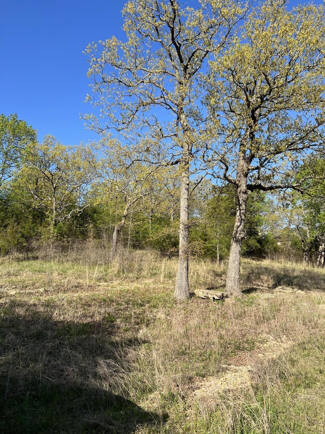 131 Oregon Ln, Ruth B Rural Township, MO 65686 - photo 3