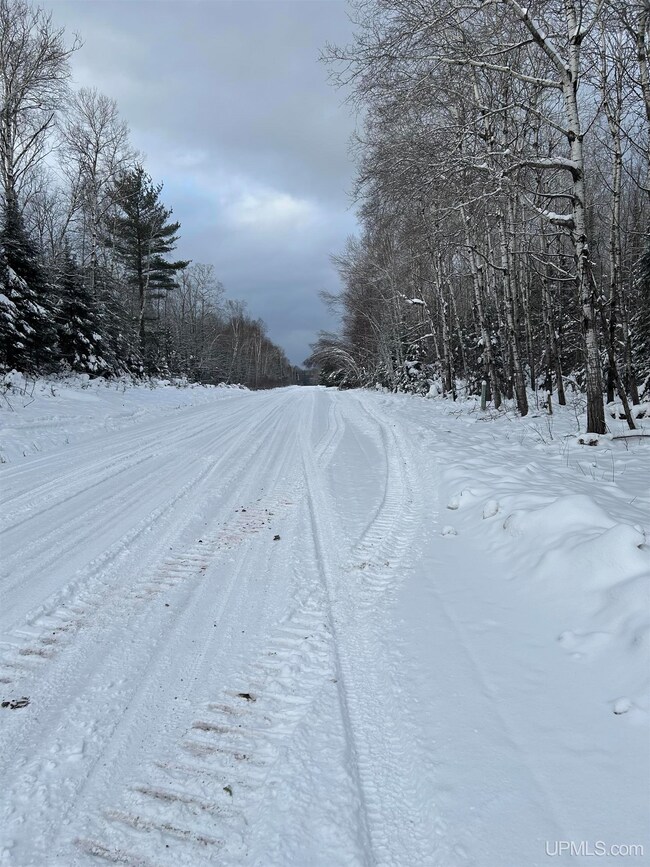 TBD Lot 1 Whitetail Dr, Torch Lake Township, MI 49945 - photo 5