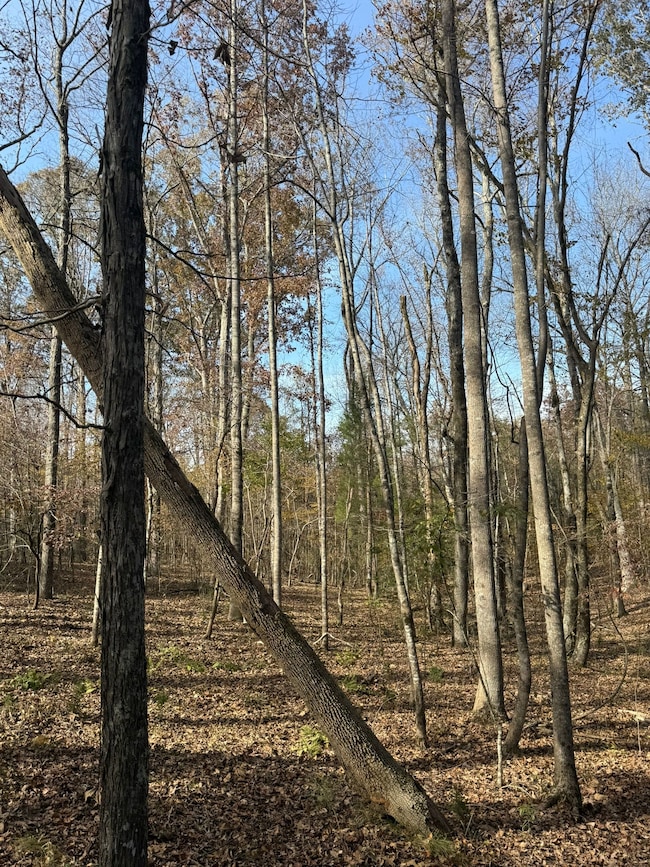 9654 State Road S-36-58, Kinards, SC 29355 - photo 4