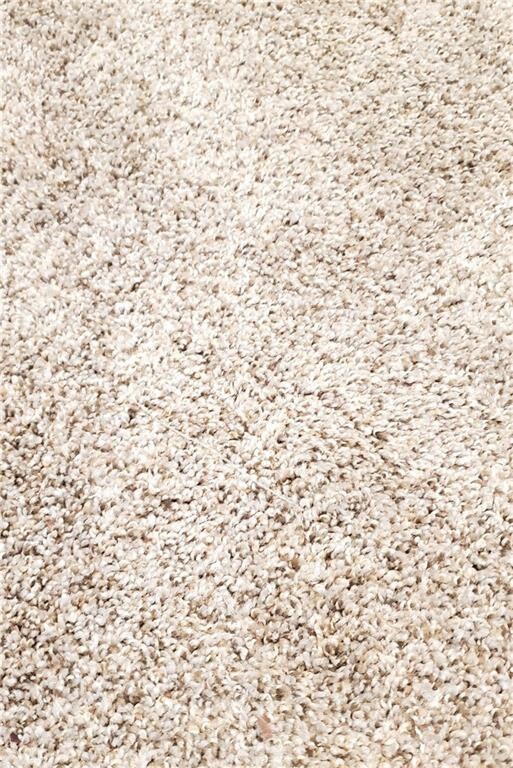 New Carpet with Warranty from Carpet One