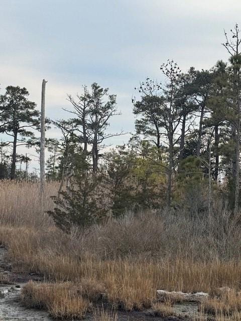 11 Wildcat Ln unit 11, Chincoteague, VA 23336 - photo 4