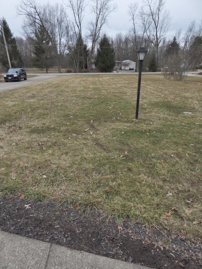 front yard!