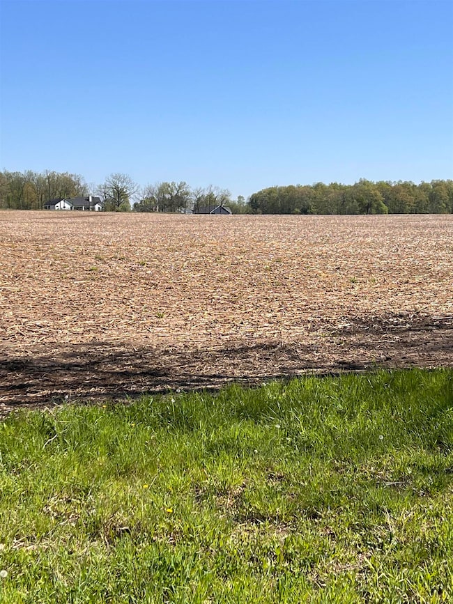 00 N 300 Rd E, Fremont, IN 46737 - photo 5