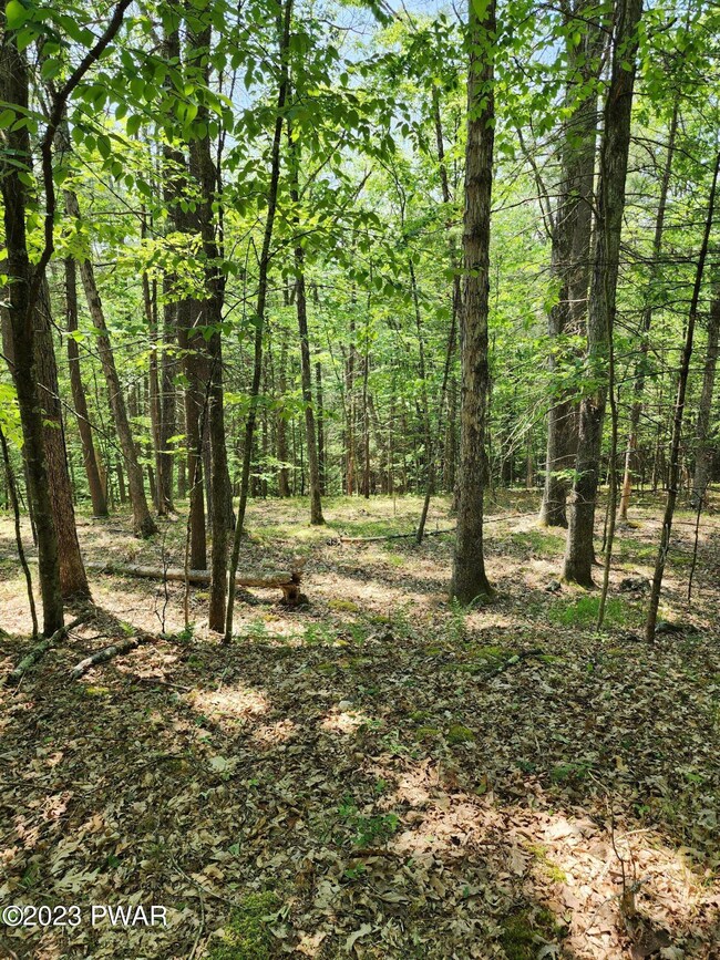 0 Lots 387 & 388 Creek Ct unit PWBPW231745, Hawley, PA 18428 - photo 6