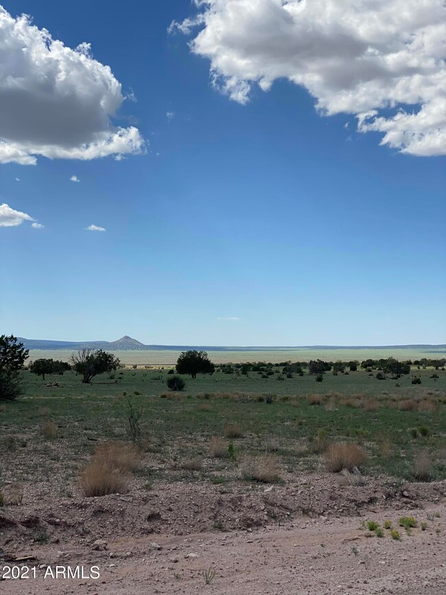 00 Markham Pass unit 1315, Seligman, AZ 86337 - photo 6