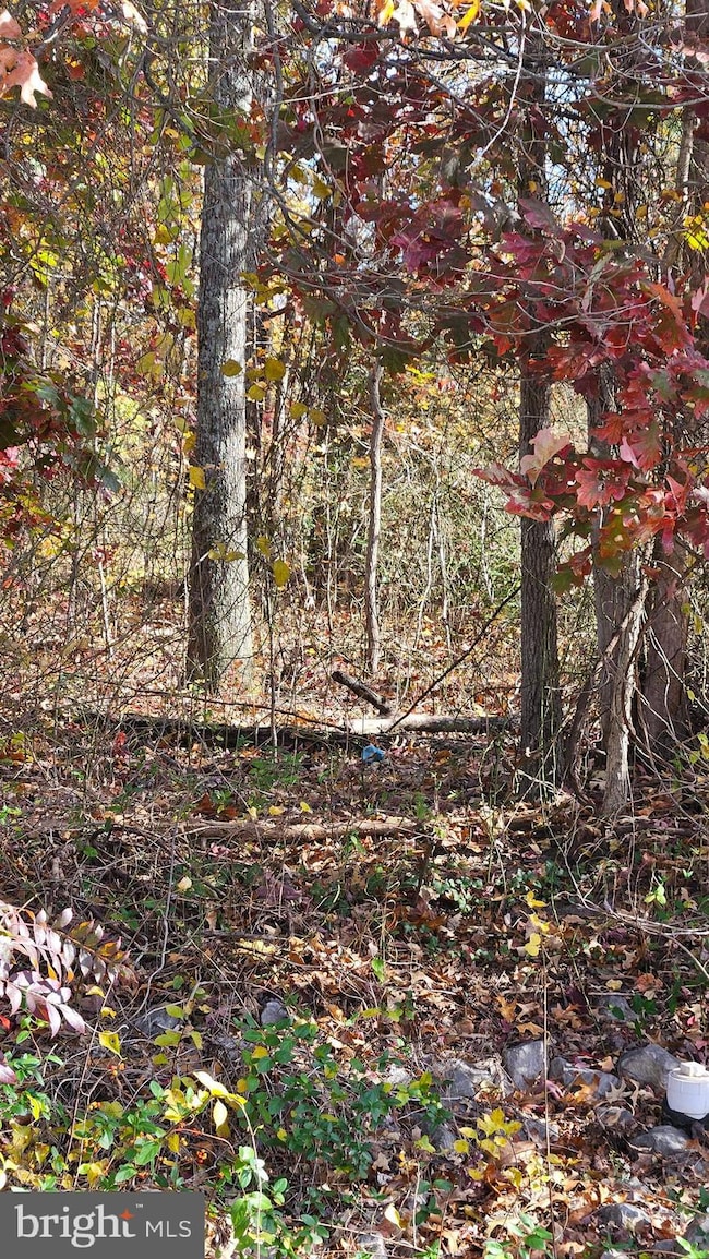 309 Cattail Passage Ct, Severna Park, MD 21146 - photo 6