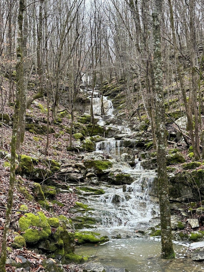 00 Sharps Cove Rd, New Market, AL 35761 - photo 3