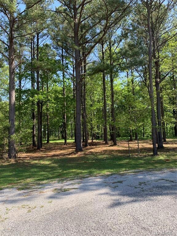 34/34A Riverview Landing Dr, Camden, AL 36726 - photo 4