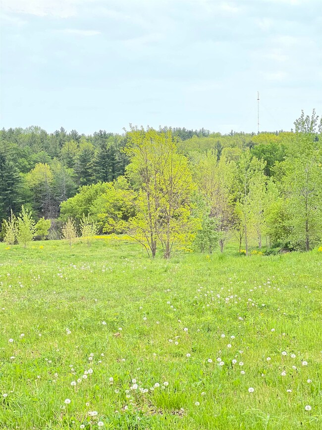 0 State Highway 37b unit 48294, Massena, NY 13662 - photo 4