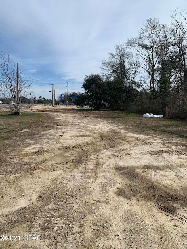 0000 Highway 90, Grand  Ridge, FL 32442 - photo 4