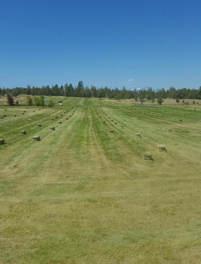 62497 Stenkamp Rd, Bend, OR 97701 - photo 3