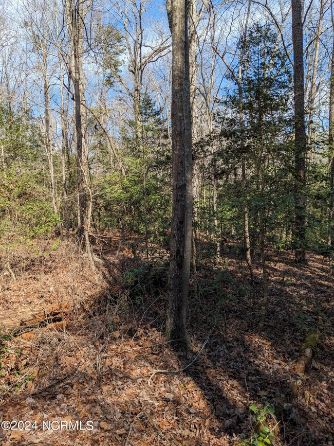 PXL_20240215_173637943