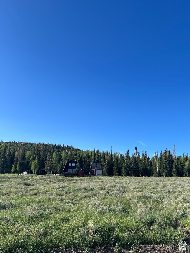 View of wooded area with a rural view