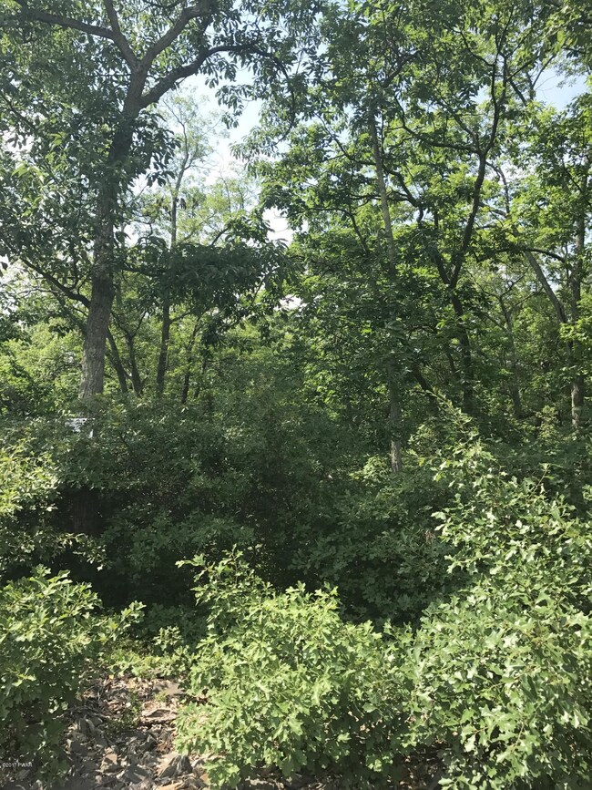 Lot #10 Blue Heron Way, Hawley, PA 18428 - photo 4