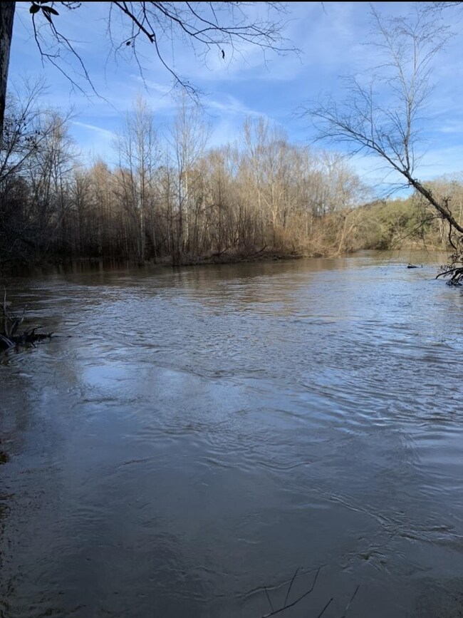 00 Sablefish Ln, Red Level, AL 36474 - photo 5