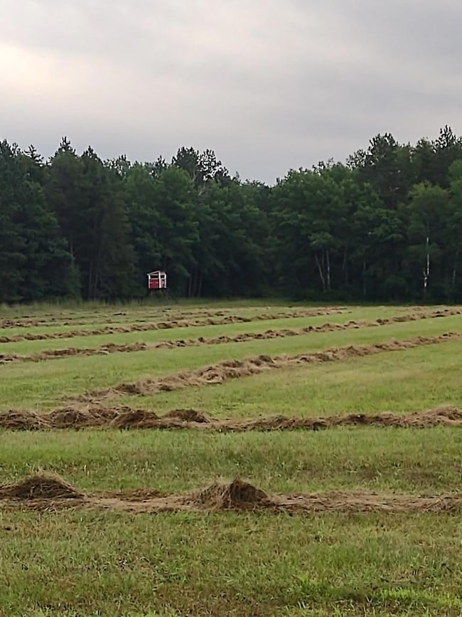 XXXX 159th Ave, Sebeka, MN 56477 - photo 7