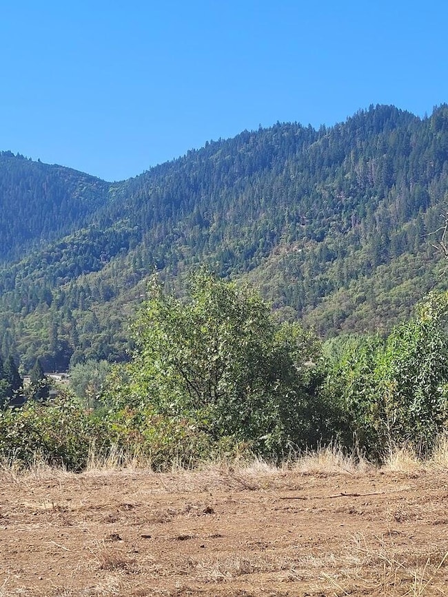 4862 N River Rd, Gold Hill, OR 97525 - photo 3