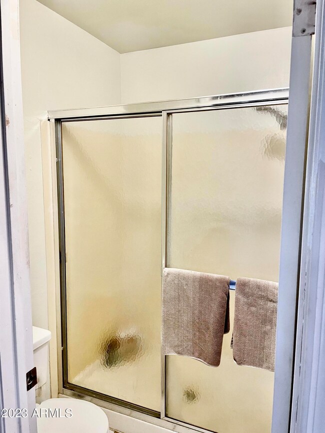 Primary Shower