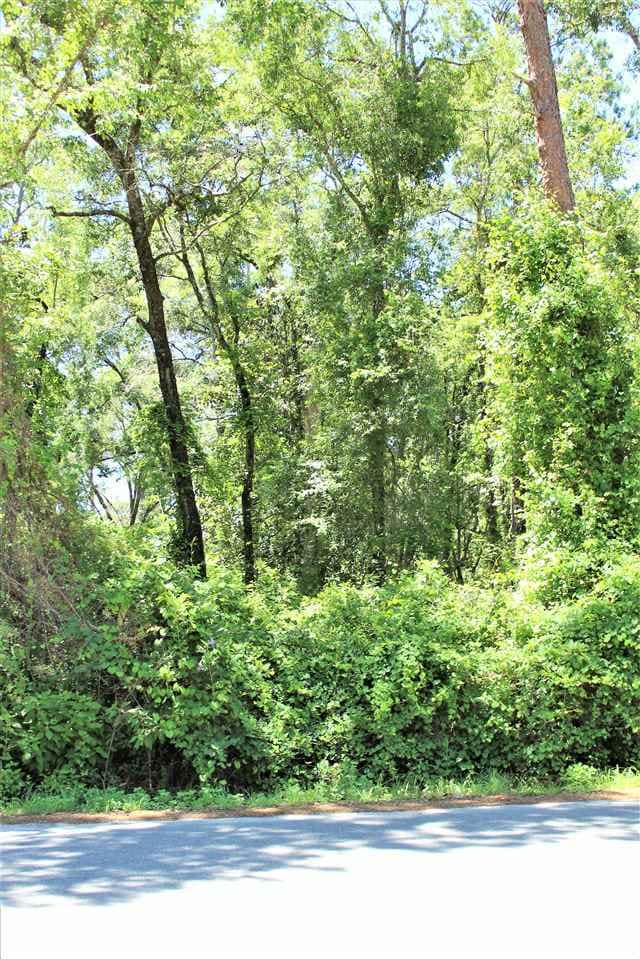 xx Azalea Dr unit 11, Crawfordville, FL 32327 - photo 5