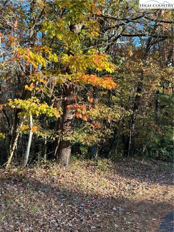 Lot 43 wooded area