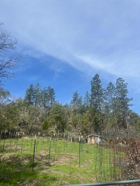 255 Pine Tree Dr, Williams, OR 97544 - photo 2