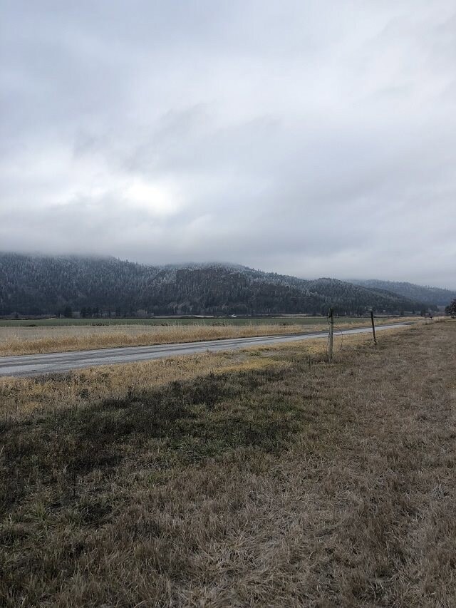 2040 Steinmetz Rd, Chewelah, WA 99109 - photo 5