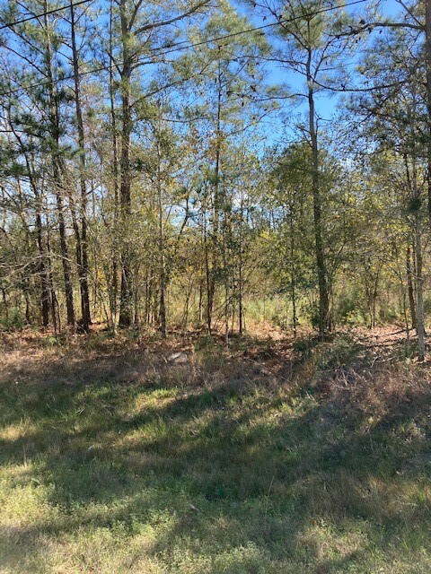 0 County Fair Dr, Hockley, TX 77447 - photo 4