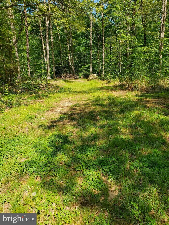 3919 & 3915 Hunting Creek Rd, Huntingtown, MD 20639 - photo 2
