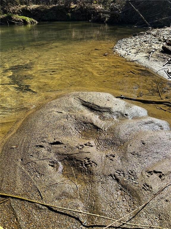 0 Conniston Rd unit 7575463, Chatsworth, GA 30705 - photo 5