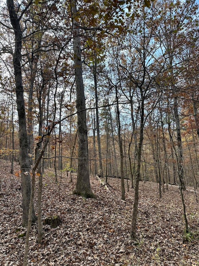 000 Route Z Hwy, van Buren, MO 63965 - photo 6