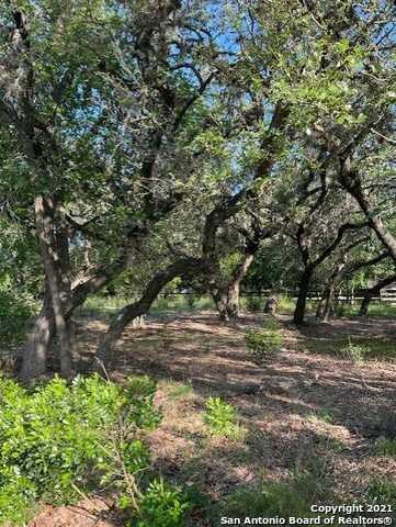 26026 Goldfinch Trail, San Antonio, TX 78255 - photo 5
