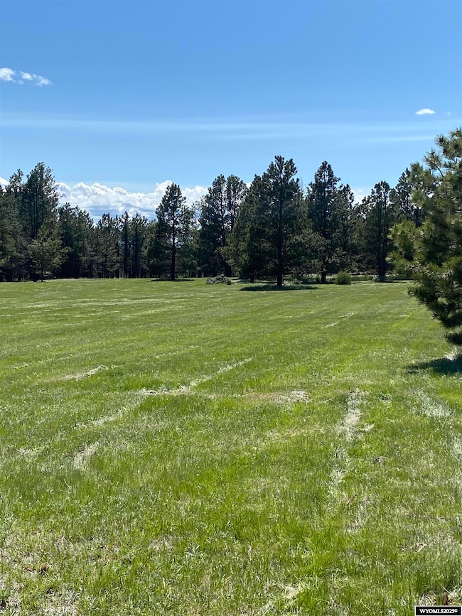 46B Two Pipe Trail, Sundance, WY 82729 - photo 5