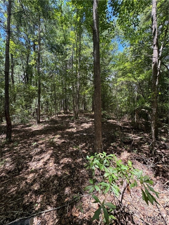 22 Cedar Ridge Dr, Northport, AL 35475 - photo 2