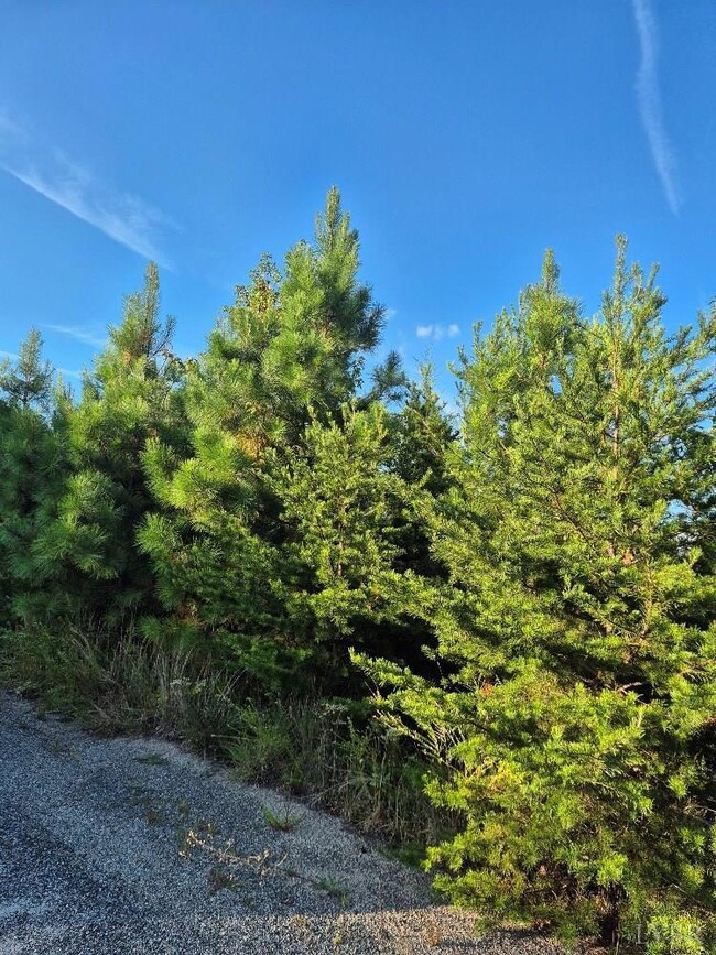 0 Fort Dr unit 361894, Pamplin, VA 23958 - photo 5