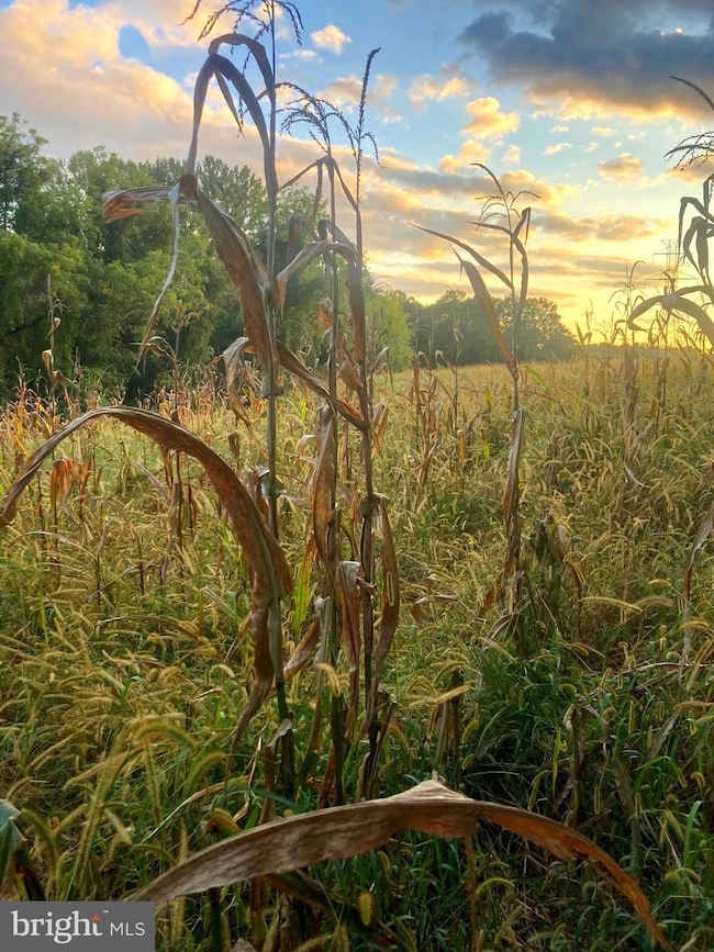 0 Dover Rd unit MDBC2012792, Glyndon, MD 21071 - photo 4