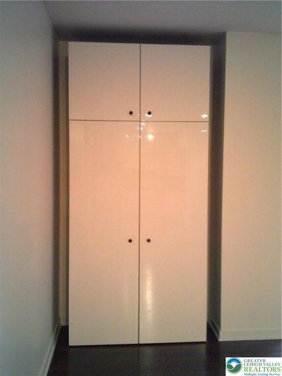 Living room storage closet