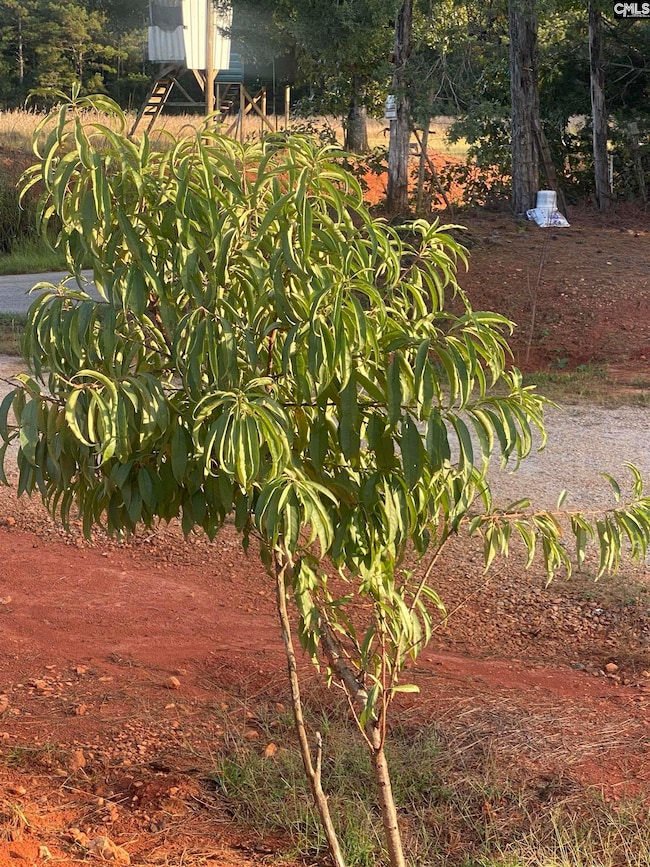 1253 Sam Koon Rd, Chapin, SC 29036 - photo 5
