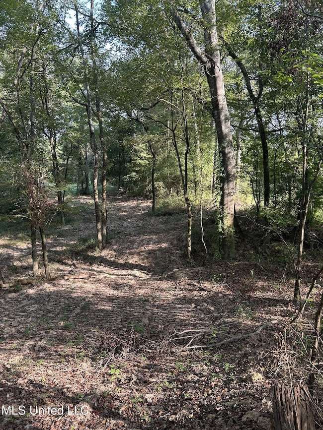 110 W Highway 28 Lot: 5, Harrisville, MS 39082 - photo 4