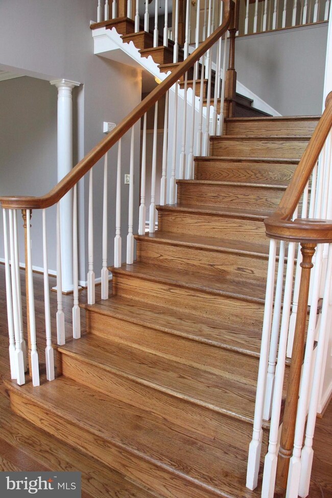 6 Irving Ct, Stafford, VA 22556 - photo 4