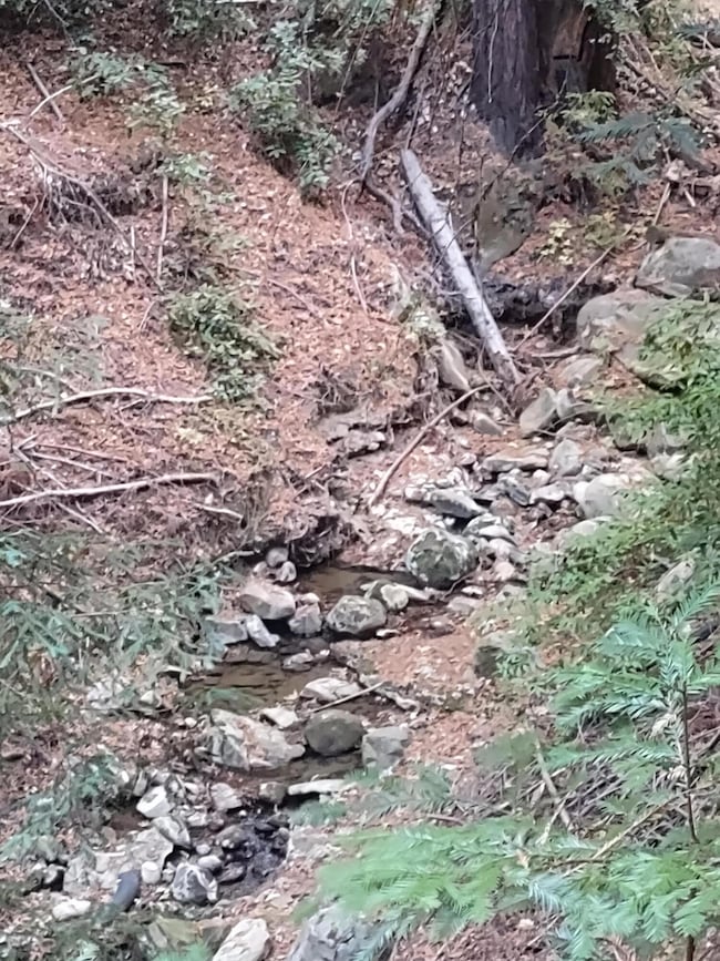 00 Old Logging Rd, Los Gatos, CA 95033 - photo 7