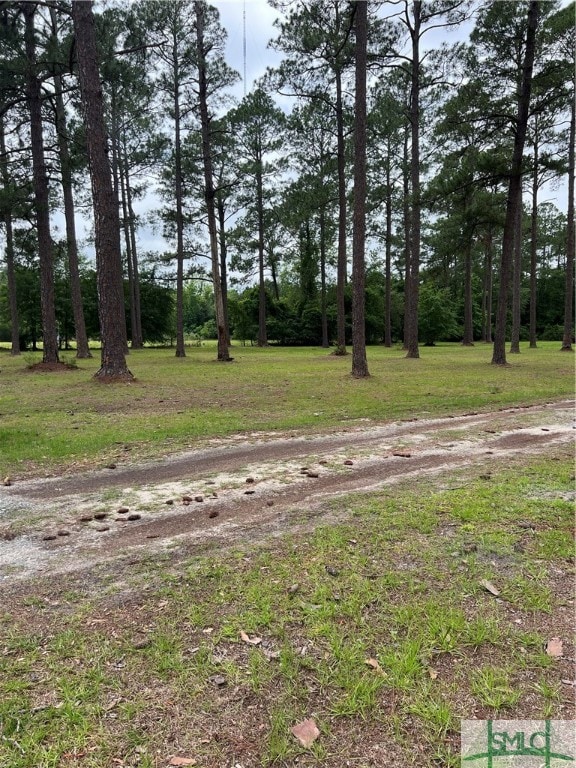 1275 Camellia Dr, Pembroke, GA 31321 - photo 5