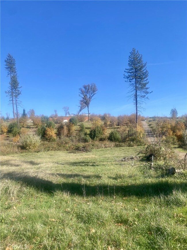 1865 Paige Ln, Paradise, CA 95969 - photo 5