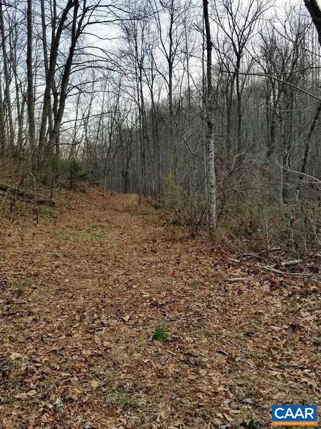 0 Leathers Rd unit 611763, Robertson, VA 22719 - photo 3