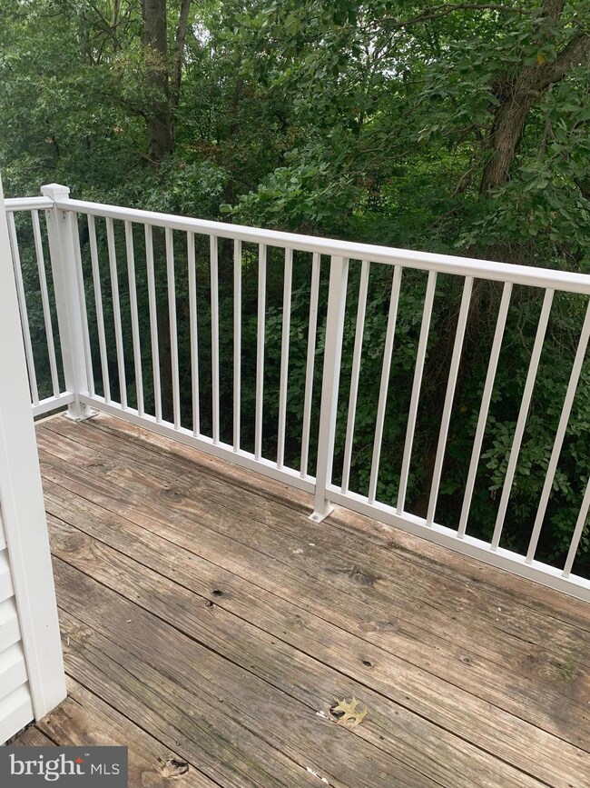 13530 Davinci Ln unit 53, Herndon, VA 20171 - photo 4