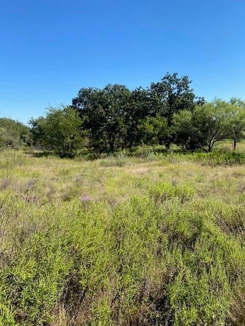 6840 County Road 327, Blanket, TX 76432 - photo 3