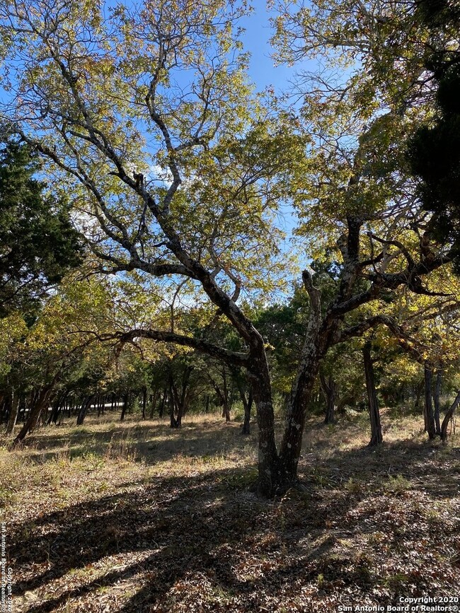 11314 Caliza Crescent, Boerne, TX 78006 - photo 6