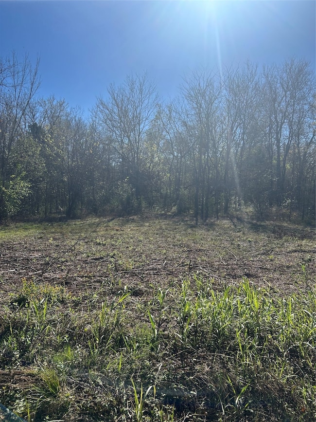 TBD County Road 27300, Honey Grove, TX 75446 - photo 3