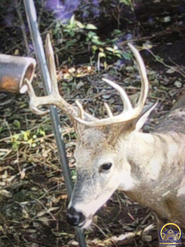 00000 106th Rd, Douglas, KS 66440 - photo 6